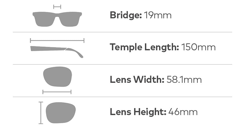 BAILE XL - Matte Dark Tortoise with Polarized Lumalens Brown Lens