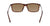 DAMIEN - Matte Tortoise with Lumalens Brown Lens