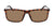 DAMIEN - Matte Tortoise with Lumalens Brown Lens