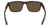 REED XL - Matte Tortoise with Lumalens Brown Lens