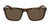 REED XL - Matte Tortoise with Lumalens Brown Lens